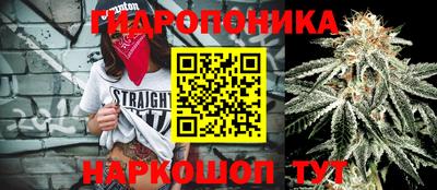 винт Братск