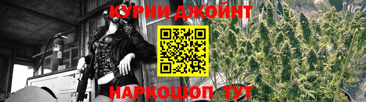 Марихуана OG Kush Сокол